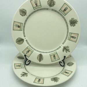 Portfolio Pfaltzgraff Naturewood Dinner Plates 11" Set Of 2 Vintage Stoneware